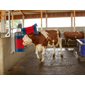 Kerbl HAPPYCOW Duo Cattle Brush - Full-Body Massage