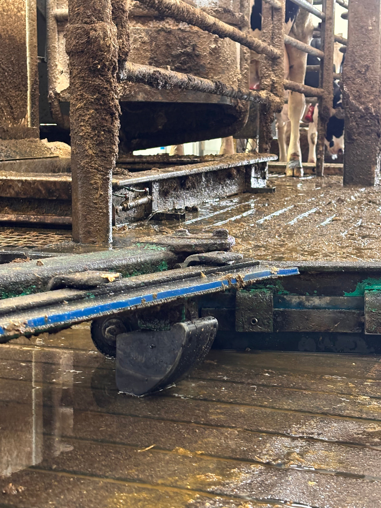 GEA/HOULE Tiliting Rubber Shoe 2005-7500-900