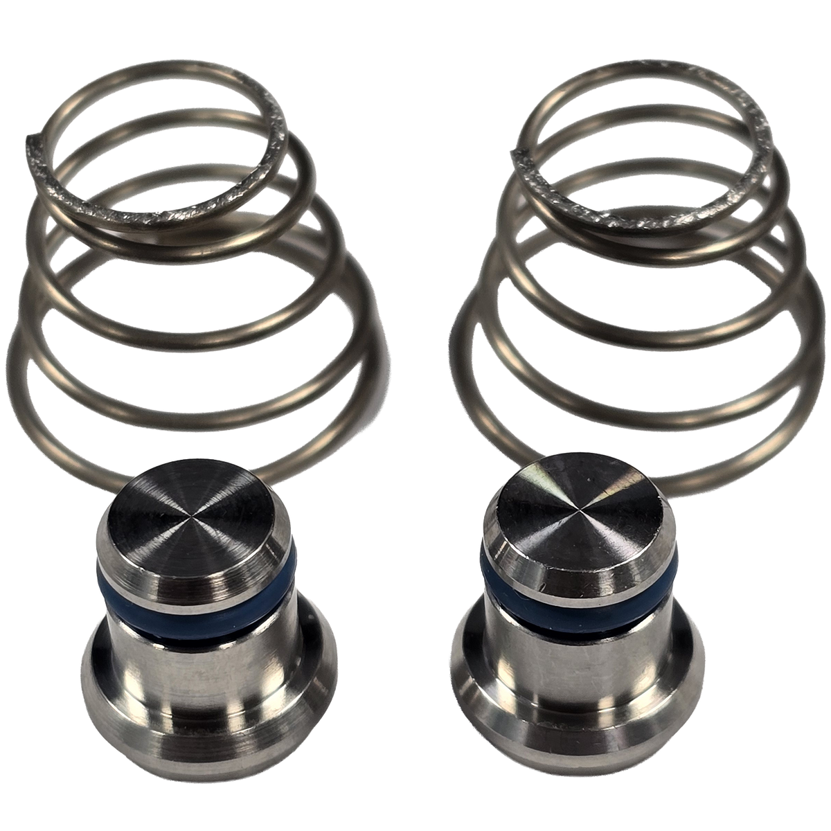 Wear parts single valve PURA Lely 5.1005.4066.0