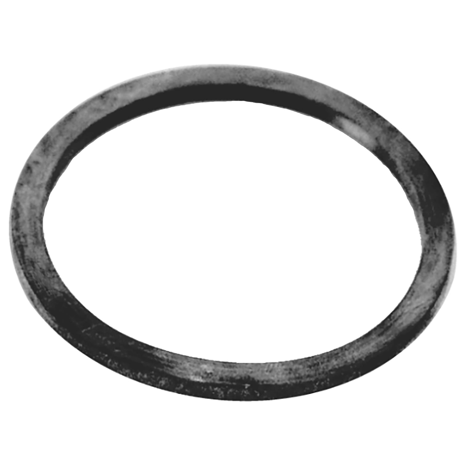 Ring Housing Inner Filter