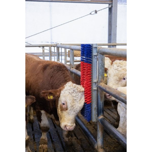 Kerbl HAPPYCOW Bully Brush - Robust Cattle Grooming