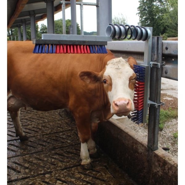 Kerbl Cattle Brush Blue & Red - Robust Design