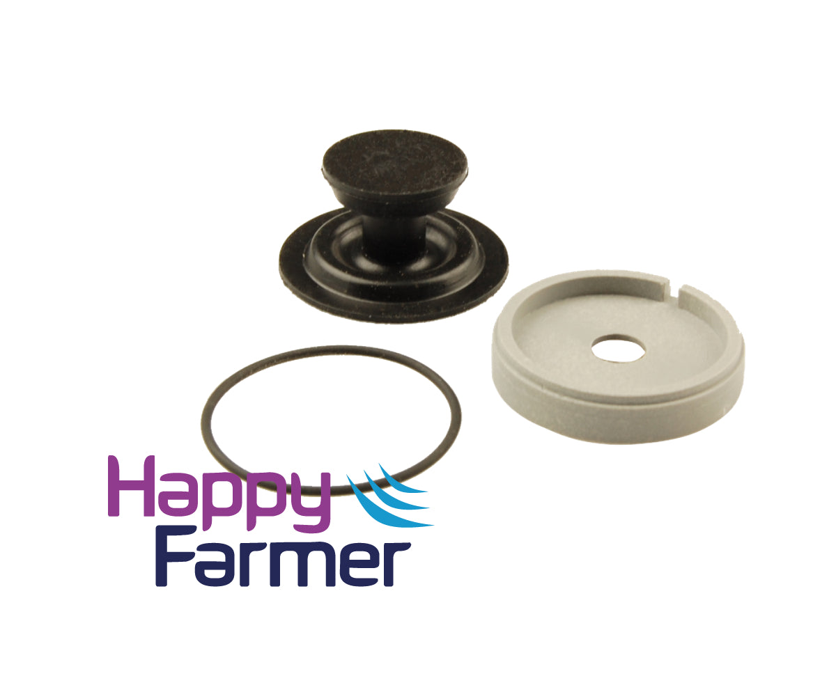 Kit de révision de la vanne à lait Förster