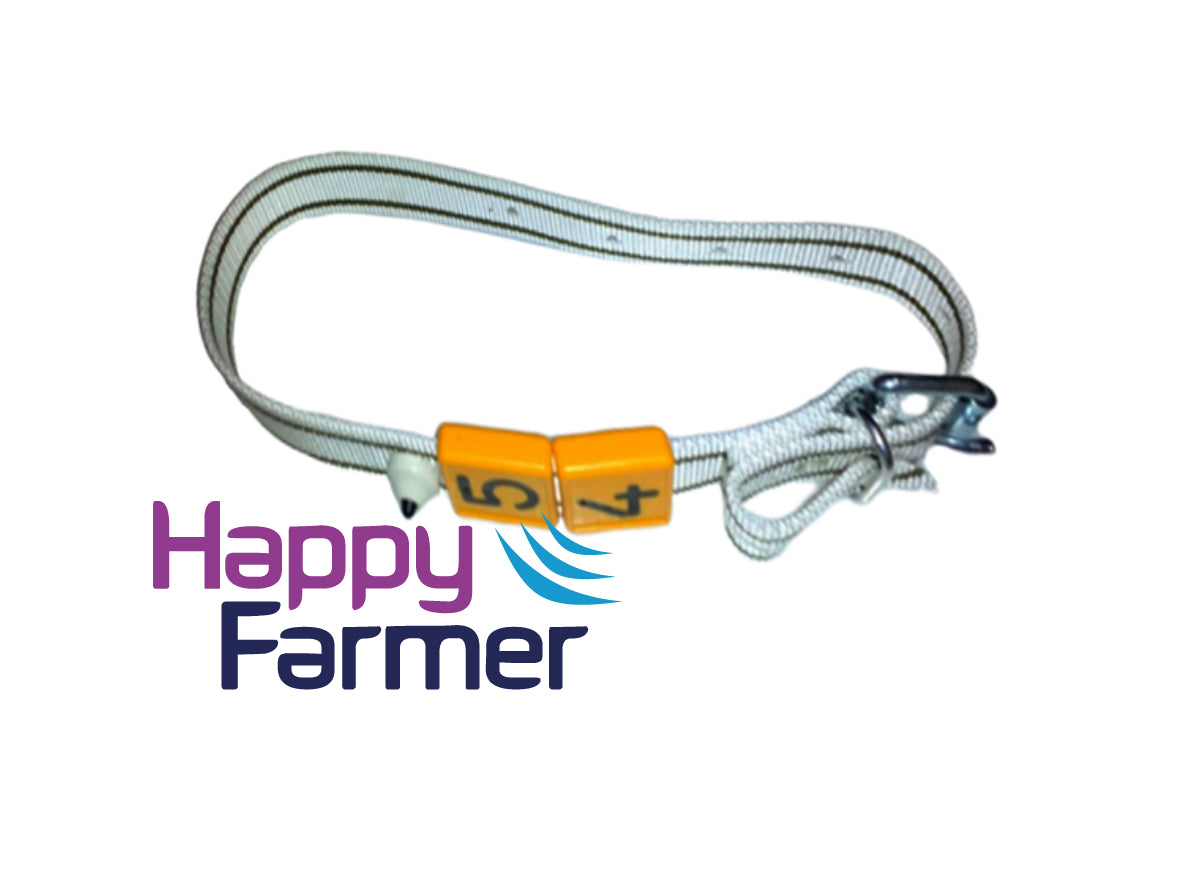 Collar Calf 90cm Mangeoire complète pour veaux