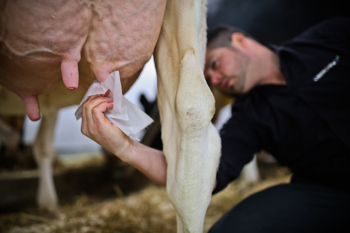 Antiseptic Teat Wipes with Alcohol one step 2 * 1,200 wipes