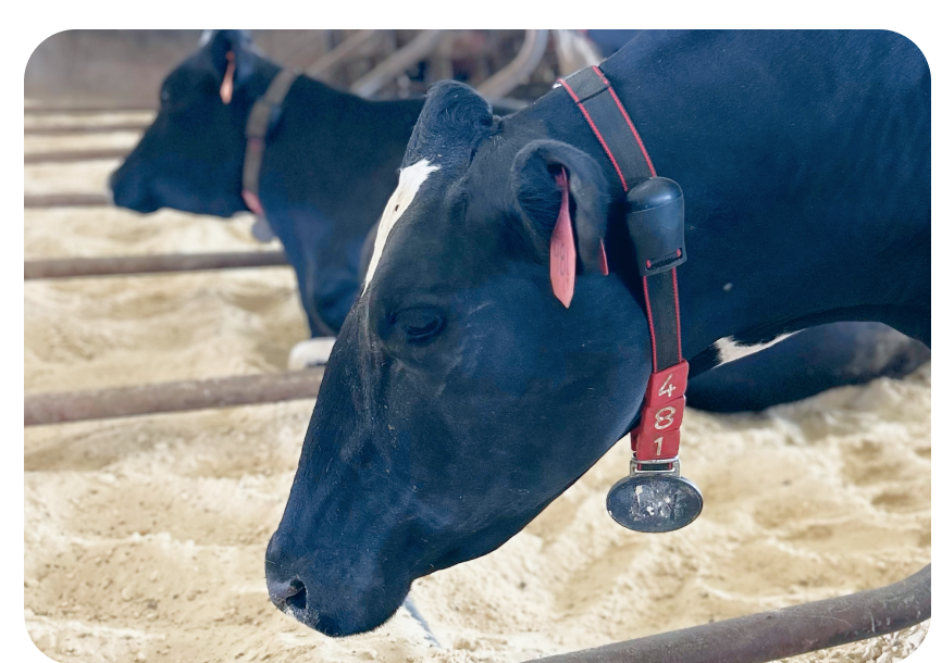 Transponder infrared H/HR-QWES