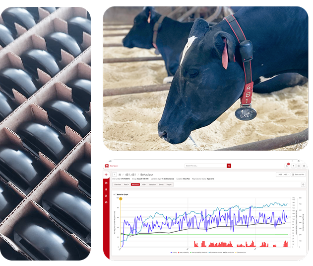 Transponder Infrared TAG-LDn