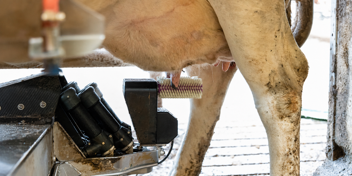 HappyFarmer's antibacterial teat brushes: A Simple Fix for Cross-Contamination