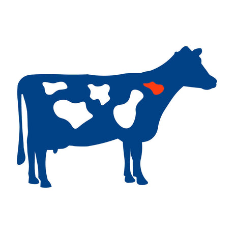 DeLaval Milking Machine
