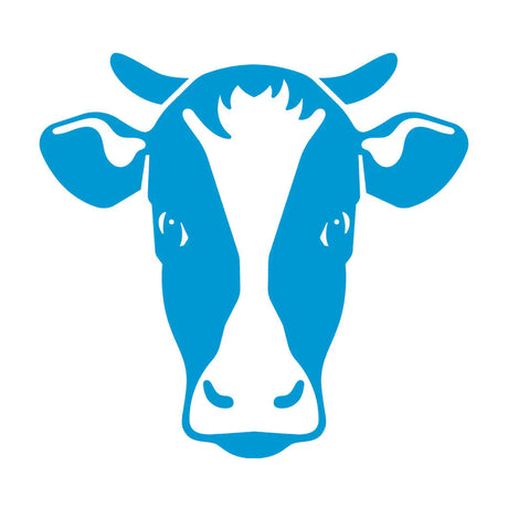 Transition cow