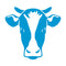 Transition cow