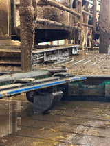 GEA/HOULE Tiliting Rubber Shoe 2005-7500-900