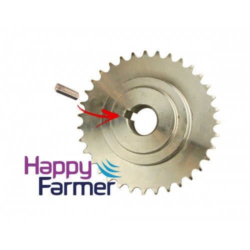 Small Filling key Lely Discovery