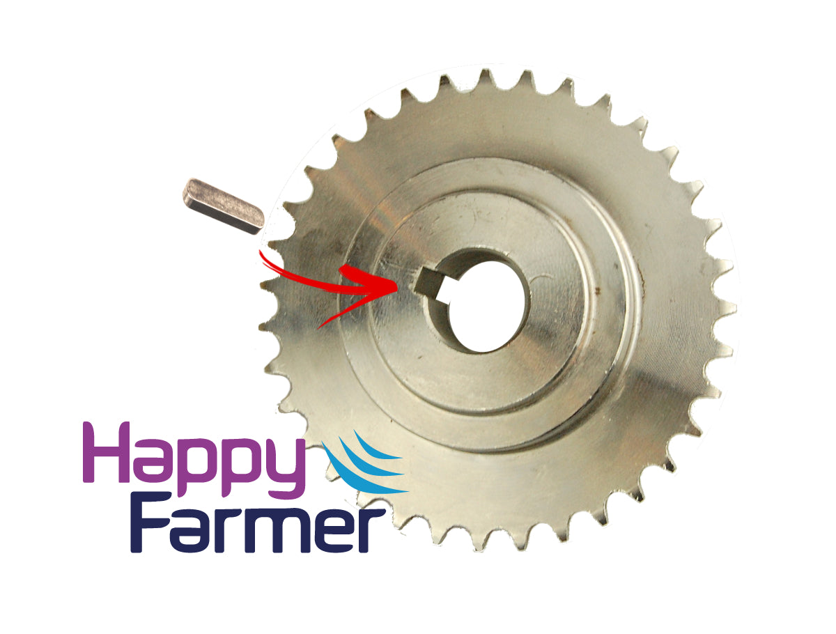 Small Filling key Lely Discovery