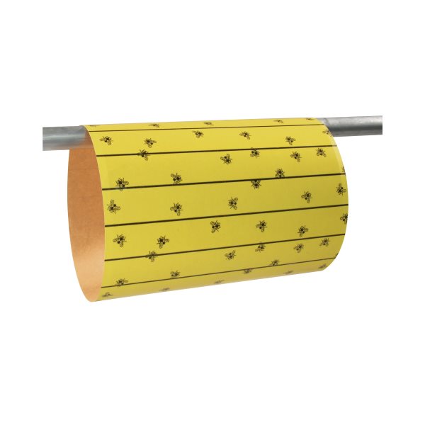 CIT FLYMASTER Flypaper Sheet - 30x59.5cm Pack of 6