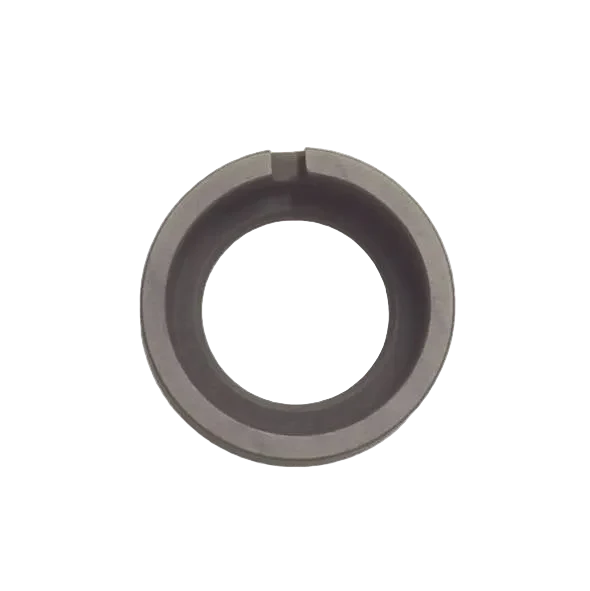 Graphite ring Corr. DeLaval 99543801