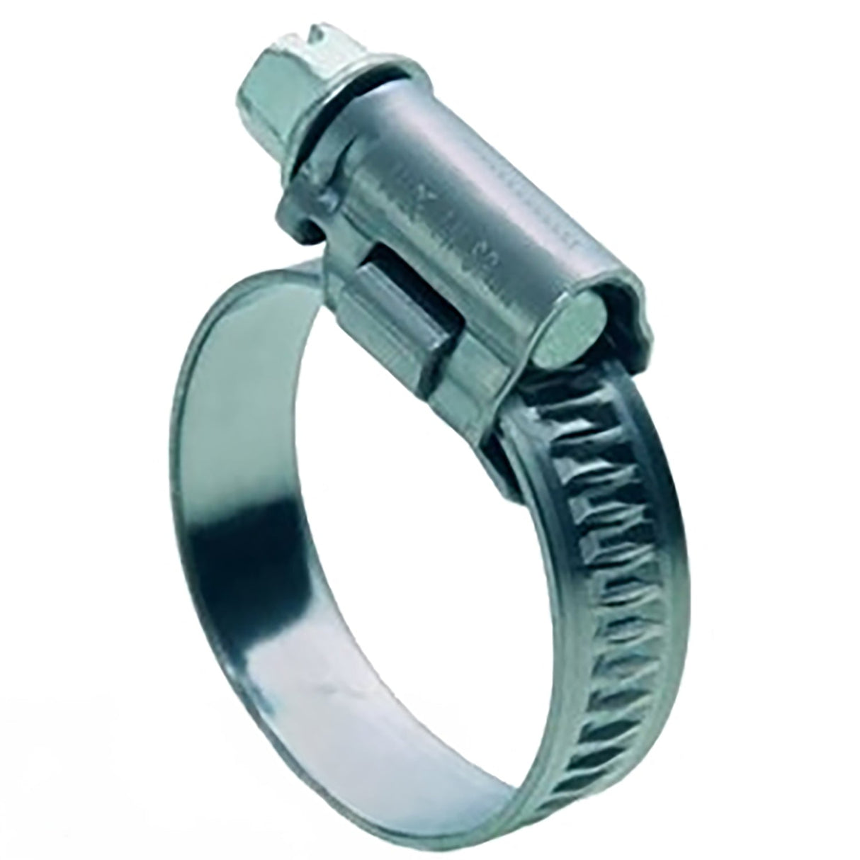 Hose Clamp Stainless Steel 12-22