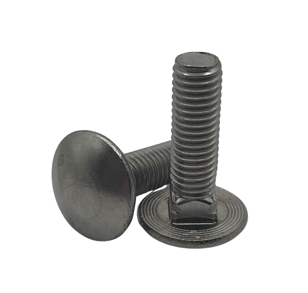 M10 × 35 A2 Carriage Bolt