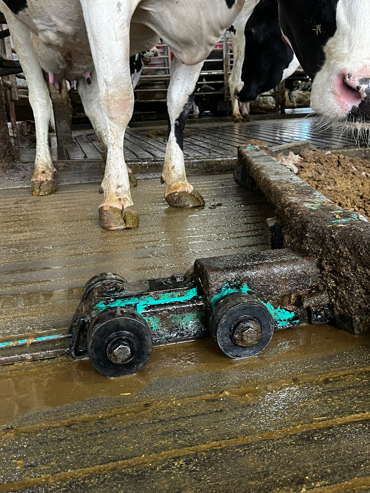 GEA/HOULE Roller Kit Sand Bedding