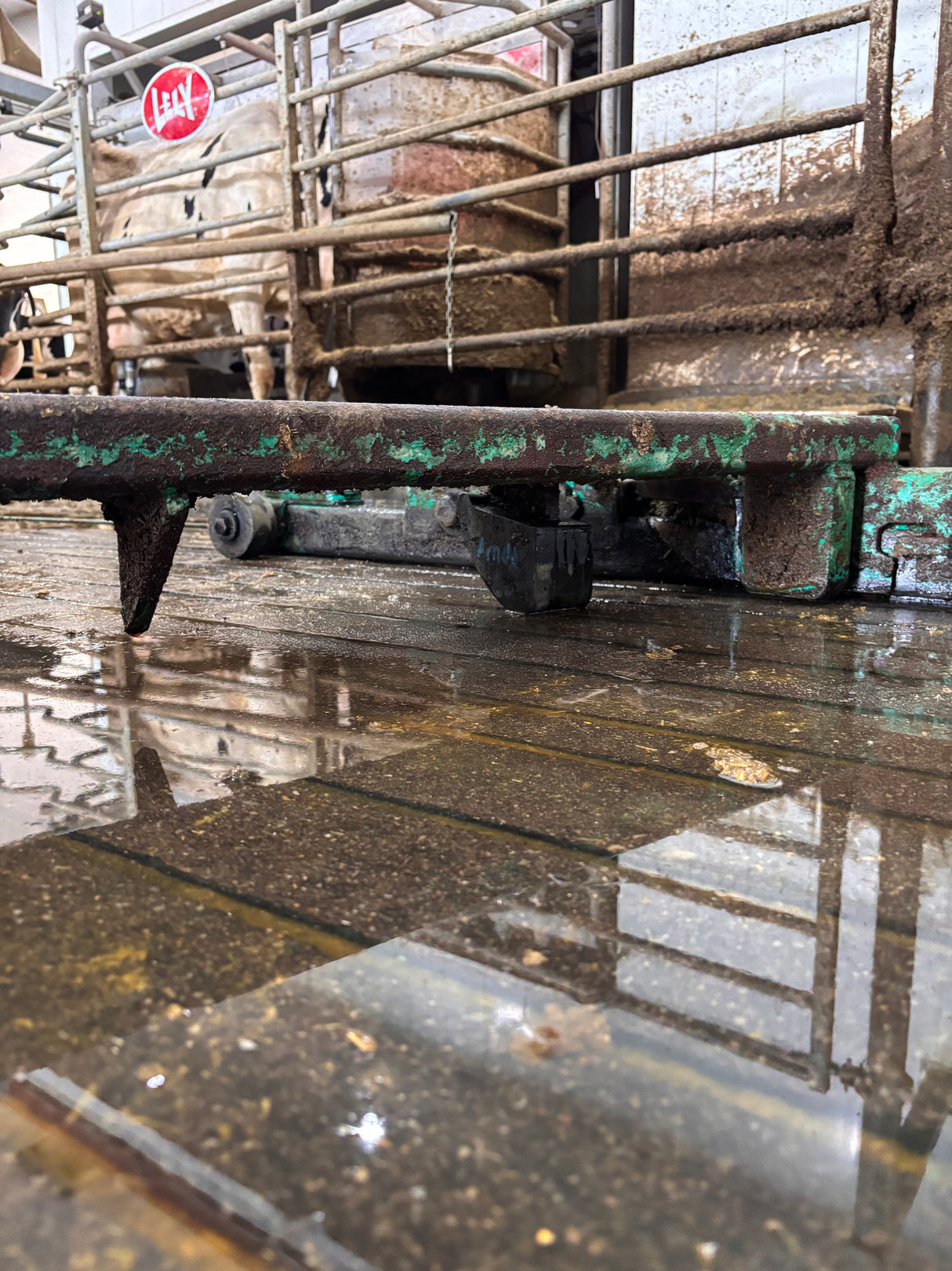 GEA/HOULE Tiliting Rubber Shoe 2005-7500-900