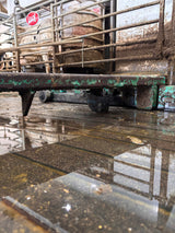 GEA/HOULE Tiliting Rubber Shoe 2005-7500-900