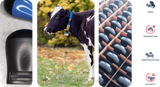 Transponder Infrared TAG-LDn