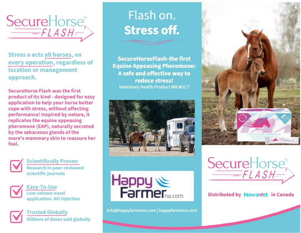 SecureHorse Flash