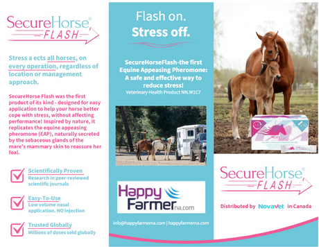 SecureHorse Flash