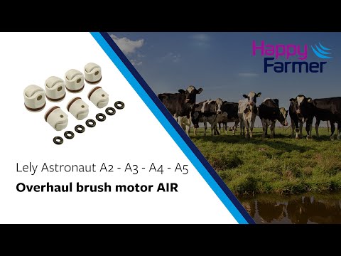 Brush Motor AIR Repair Kit
