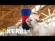 Kerbl HAPPYCOW Flexi Swing Brush - Indoor/Outdoor Comfort