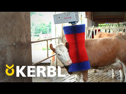 Kerbl HAPPYCOW Maxi Swing Brush - Efficient Cattle Grooming