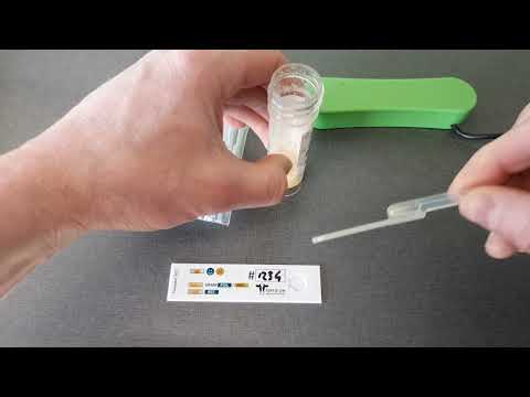 BACT Gram NEG/POS disposable test strips