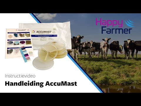 STARTER KIT AccuMast Mastitis self-test