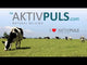 AktivPuls Tepelbeker voor Lely Per Stuk
